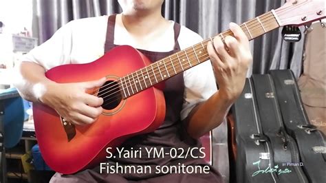 fishman sonitone review